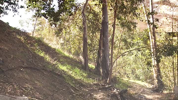 Bigfoot or Bust 2022 HDRip XviD AC3-EVO