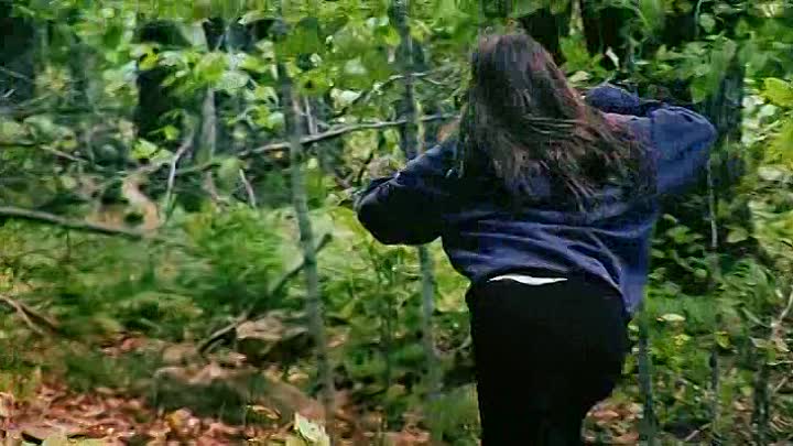 Hell Fire 2015 BRRip XviD AC3-EVO