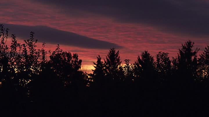 Gabriels Inferno Part III 2020 HDRip XviD AC3-EVO