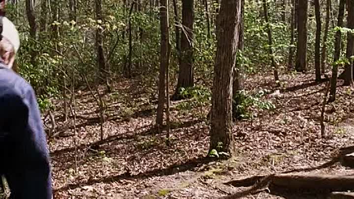 A Walk in the Woods 2015 BRRip XviD AC3-EVO