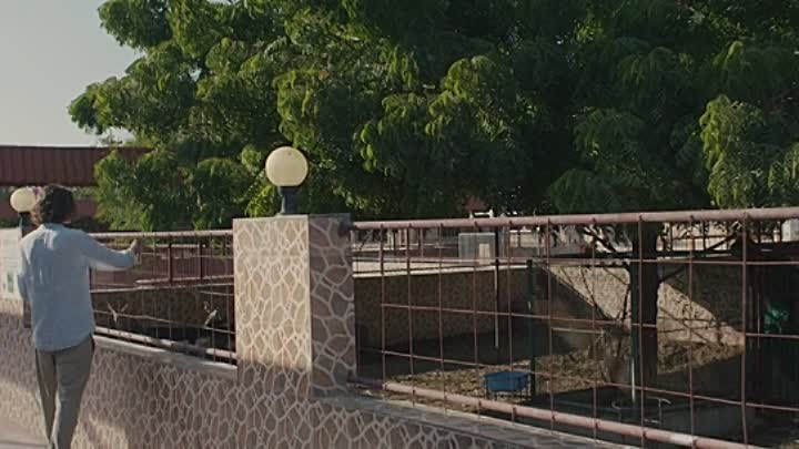 The Falconer 2022 HDRip XviD AC3-EVO