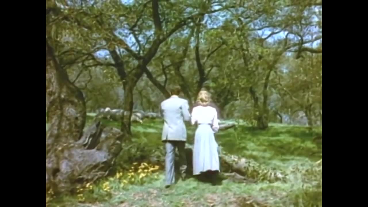 ⁣Till The Clouds Roll By (1946)