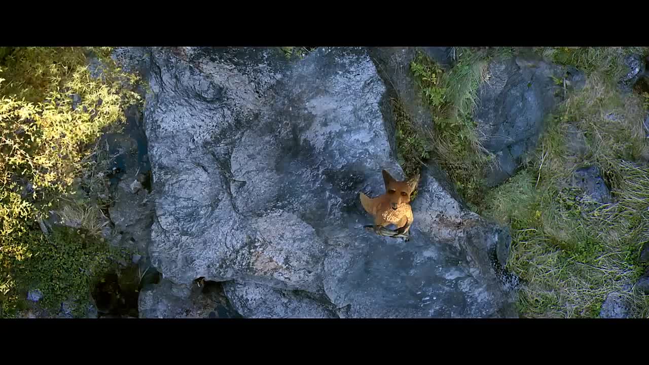 The Fox and the Bird - CGI short film by Fred and Sam Guillaume