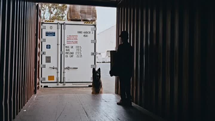 ⁣Tropique de la Violence 2022 FRENCH HDRip x264-EXTREME