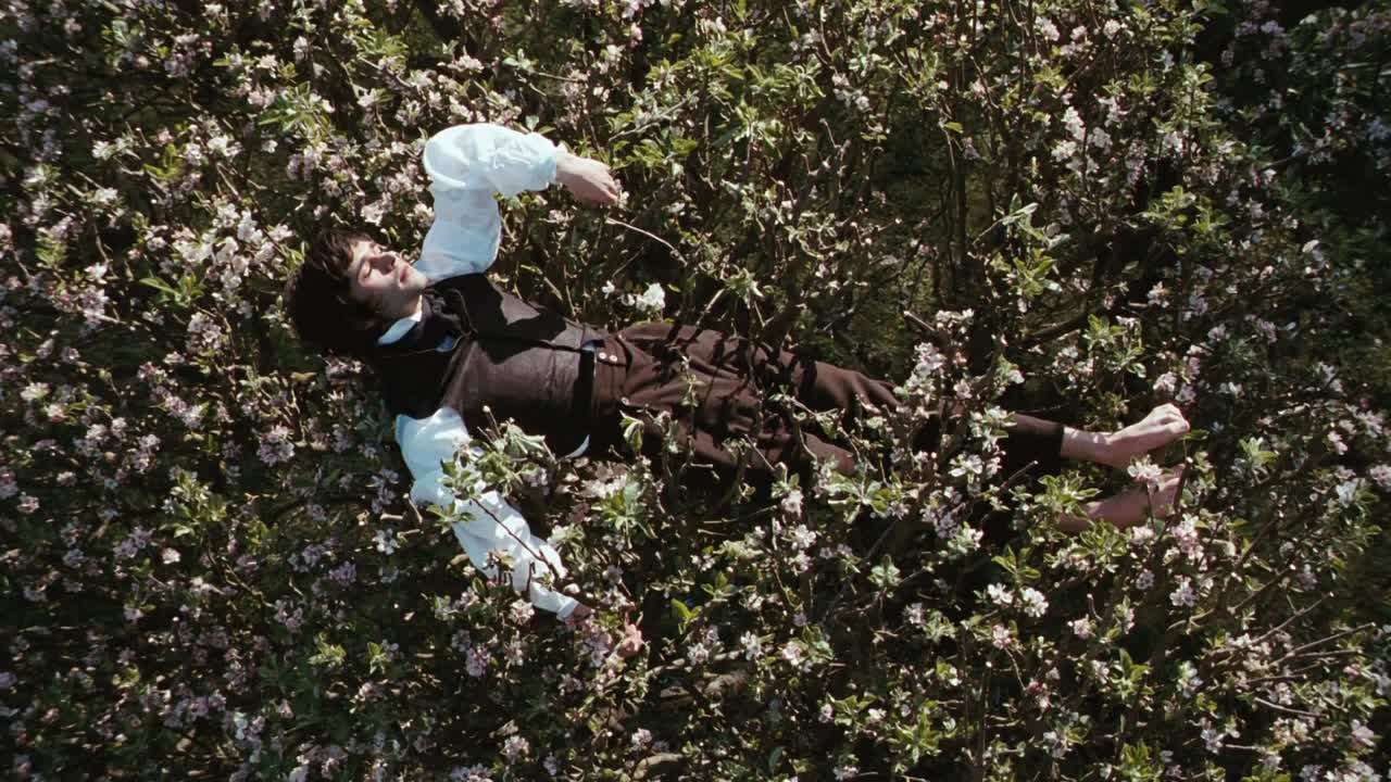 Bright Star 2009 1080p BluRay x264 AAC5 1-