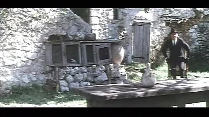 1967 - Fleur D'oseille