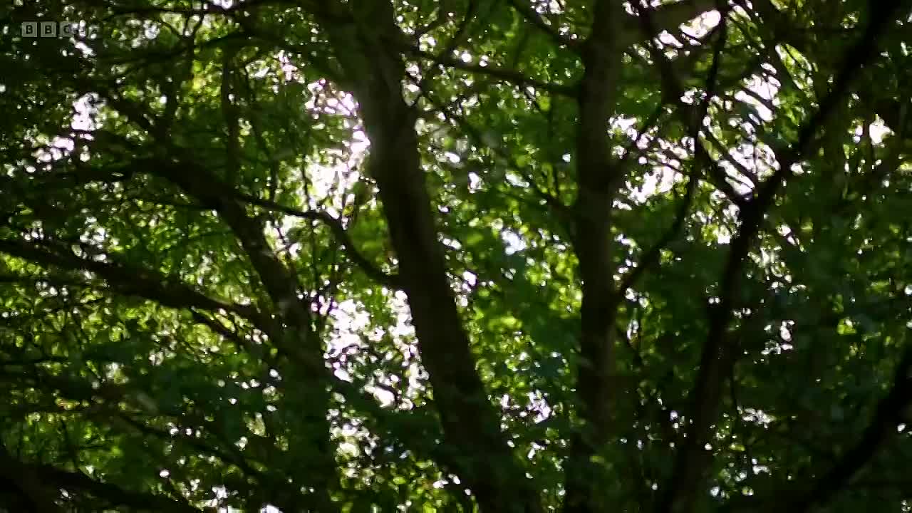 Agatha Christie Lucy Worsley on the Mystery Queen s01e03 - Unfinished Portrait - Finale (2022)