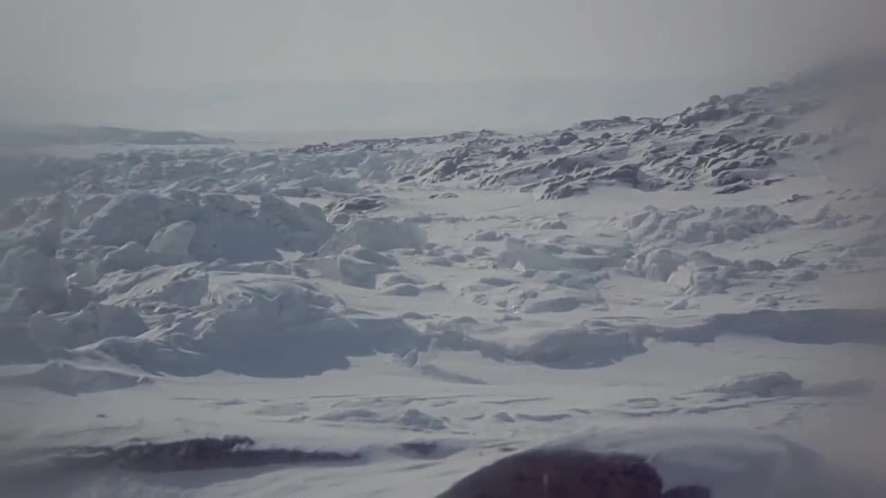 ⁣Quintet 1979 WEBRip x264