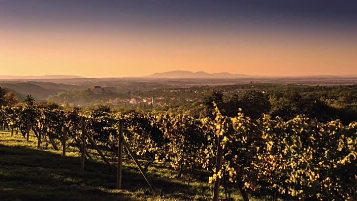 A Woman Deceived 2017 HDRip XviD AC3-EVO