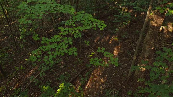 Les Tricheurs 2022 French HDRip x264