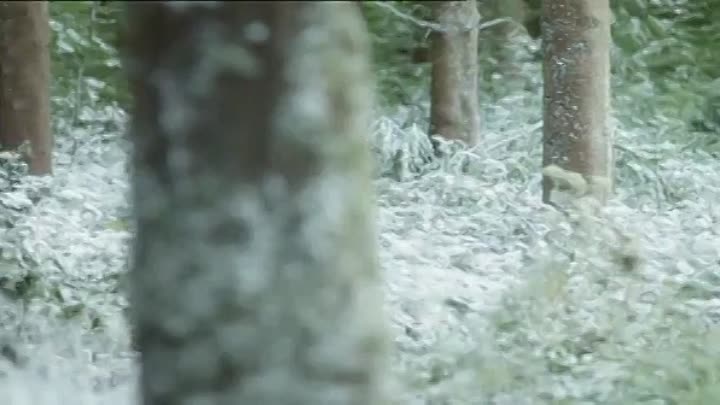 Lark Rise To Candleford- S2E1 (BBC TV Series)