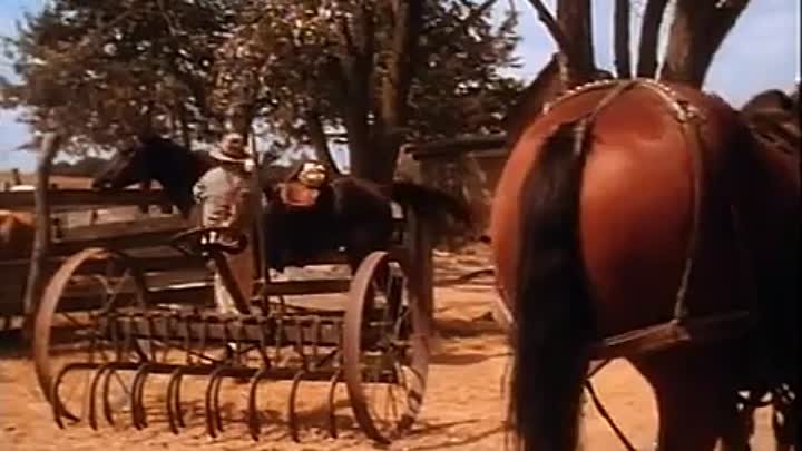 Sarah Plain and Tall -Skylark -1993