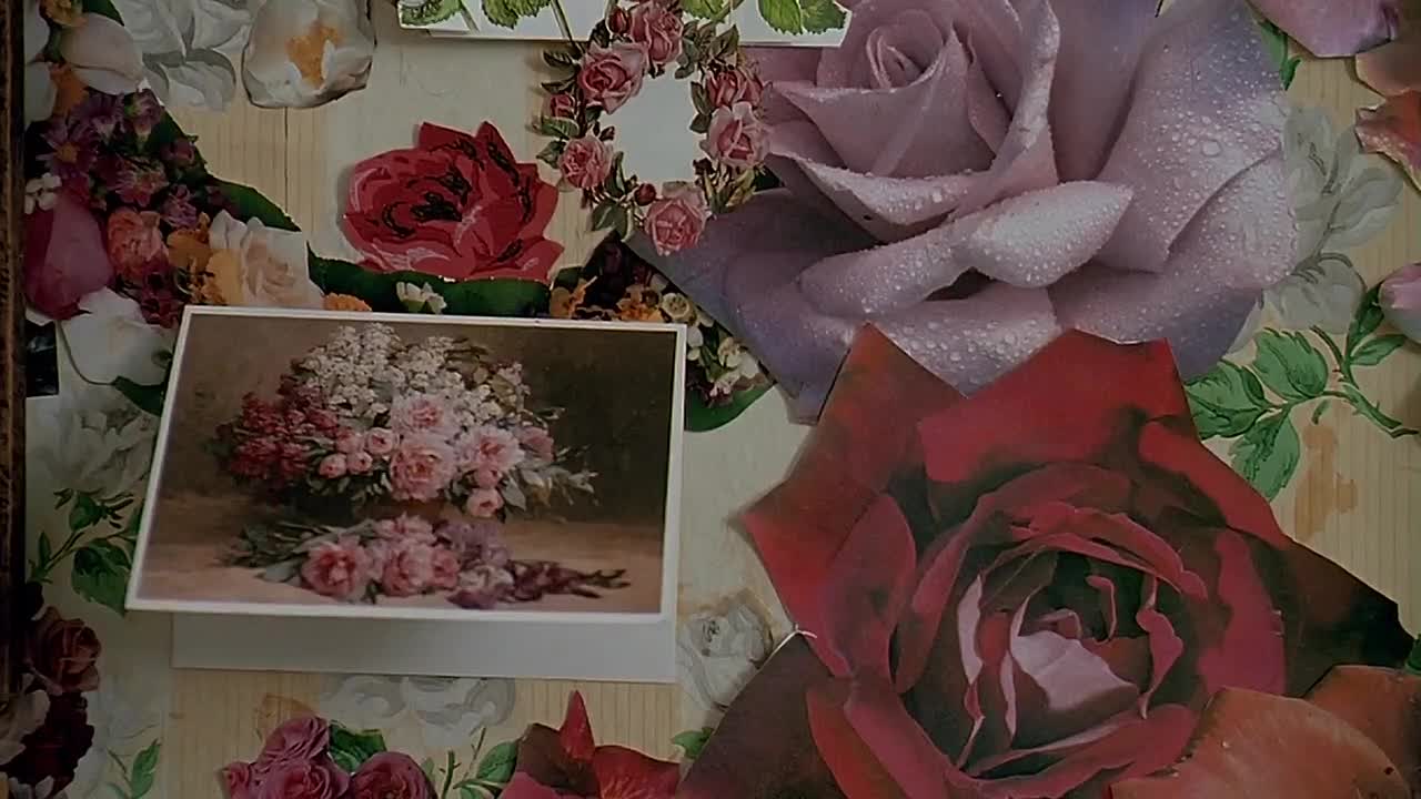 Fried Green Tomatoes 1991