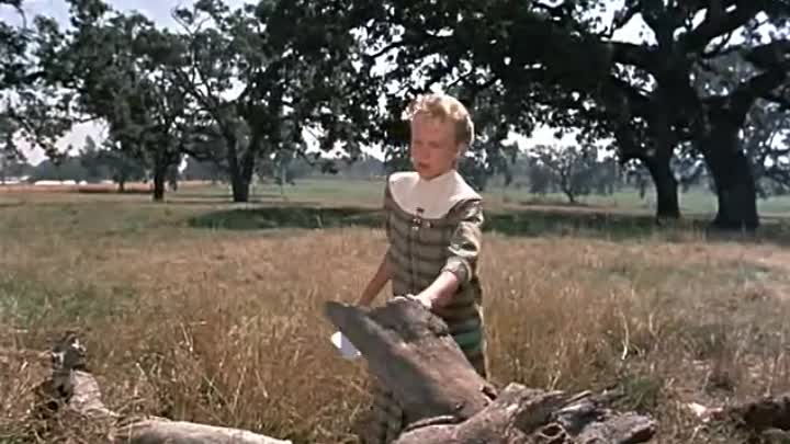 ⁣Hayley Mills Pollyanna (1960)