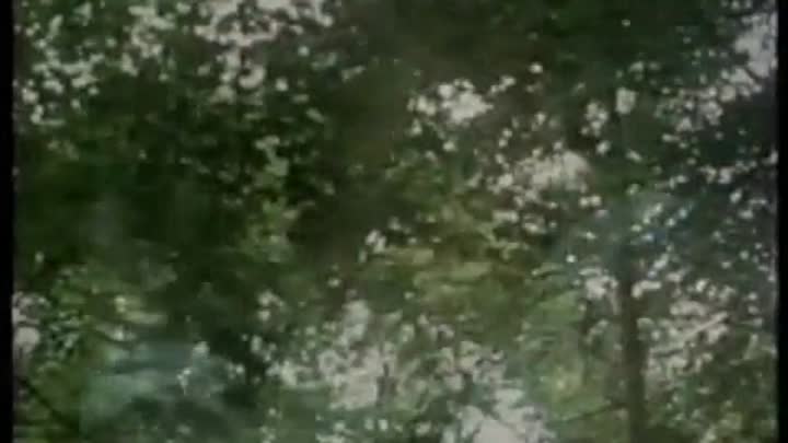 Lillie-Episode 5/13 (Bertie)