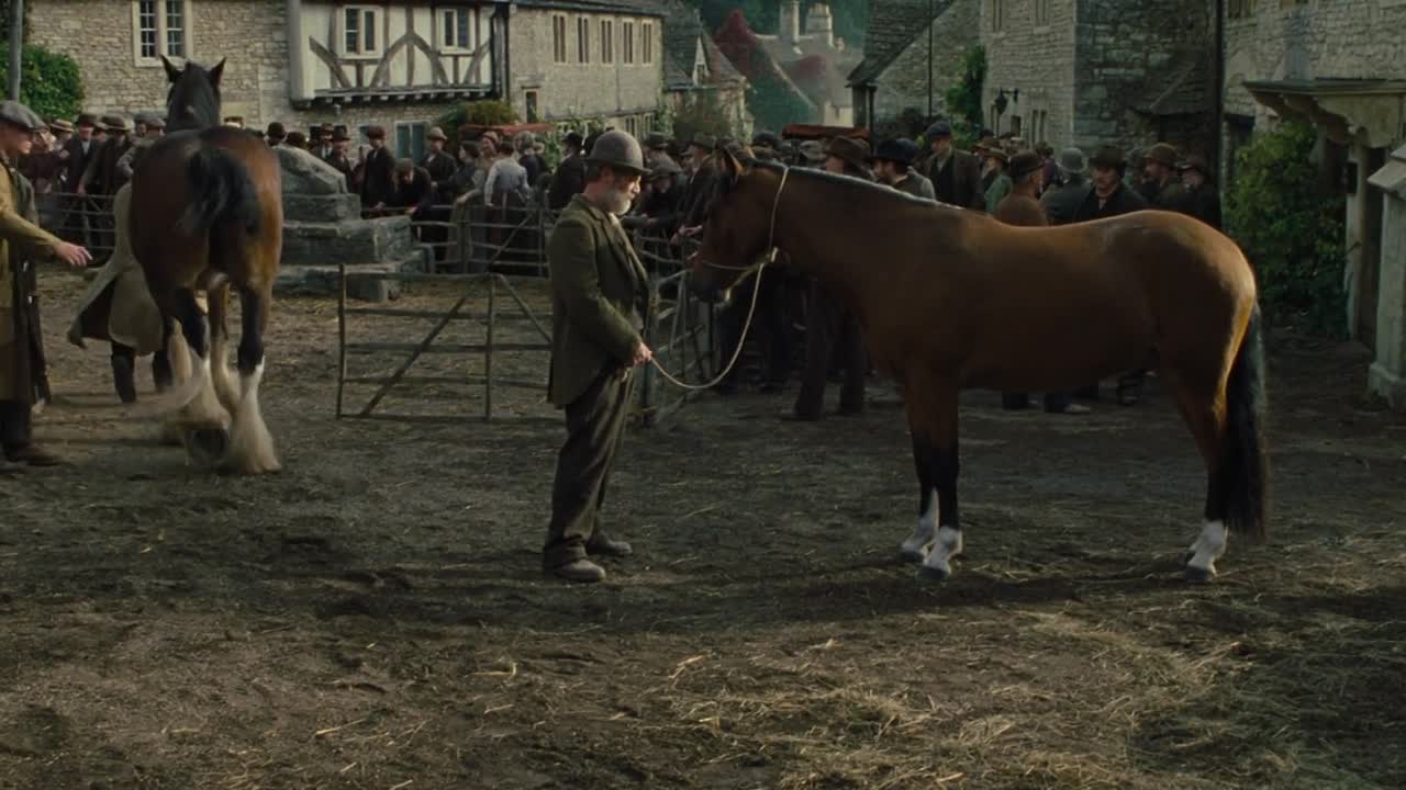 War Horse 2011 1080p BluRay x264 AAC5 1-