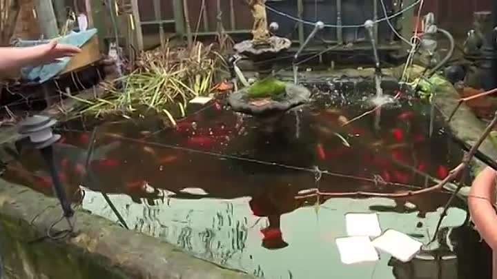 ⁣Benefits Britain~Life On The Dole -Part 2