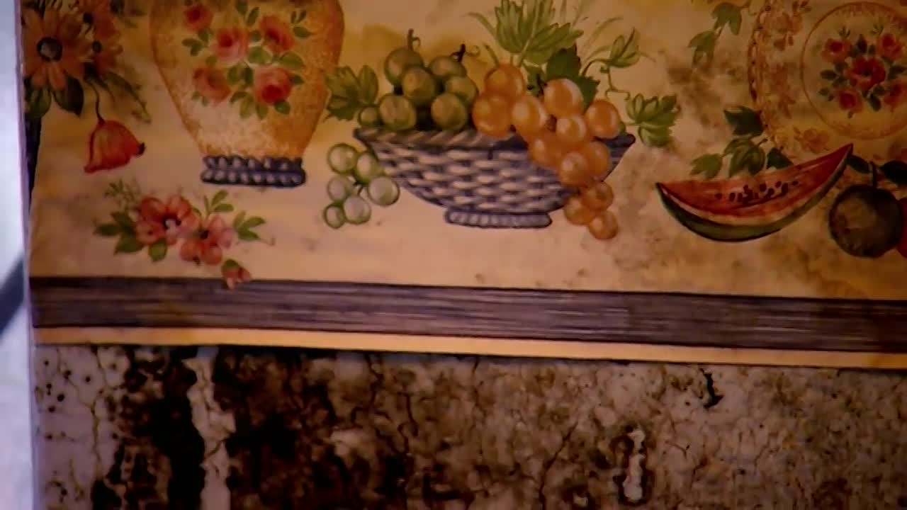 Kelly And Her Sisters -2001 BAFTA-AWARD WINNING DOCUMENTARY -Real Stories