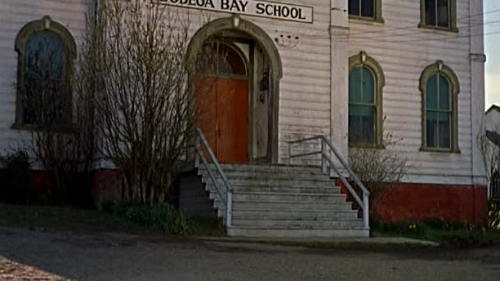 ⁣1963 - The Birds CD2