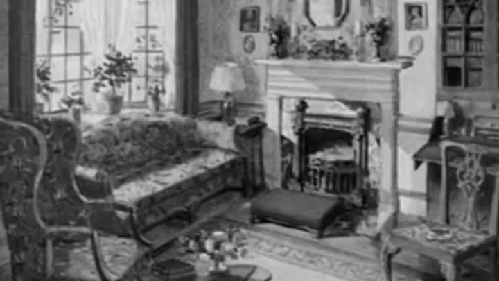 The Case of of The Perfect Maid