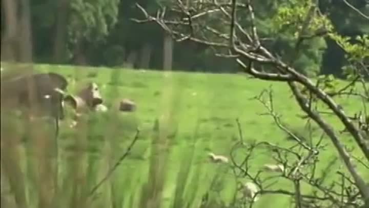 A History of Scotland - [S1E3] Bishop Makes King