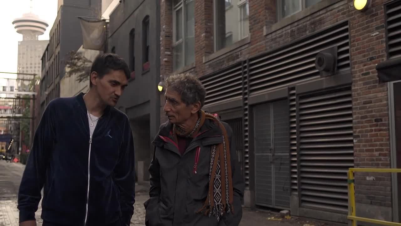 ⁣The Wisdom of Trauma -2021