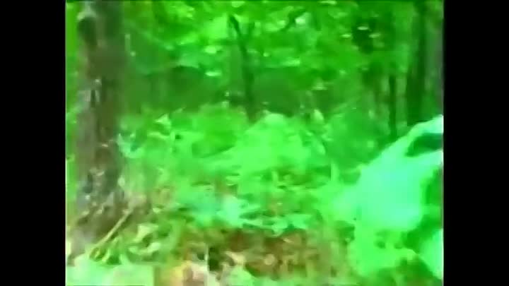 The Oklahoma Girl Scout Murders-