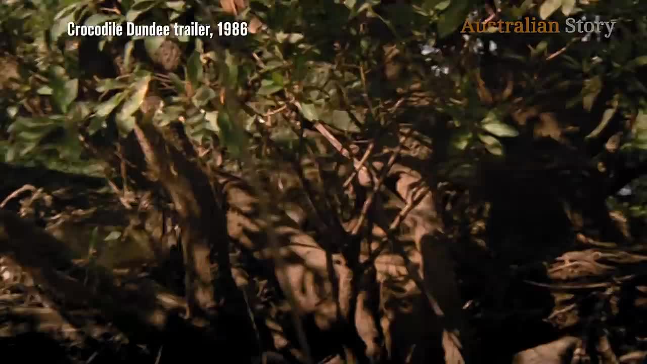 ⁣How Aussie rigger Paul Hogan became Crocodile Dundee_ A Fortunate Life — Part 1 _ Australian Story