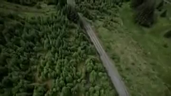 ⁣Critical Evidence -The Saturday Night Strangler