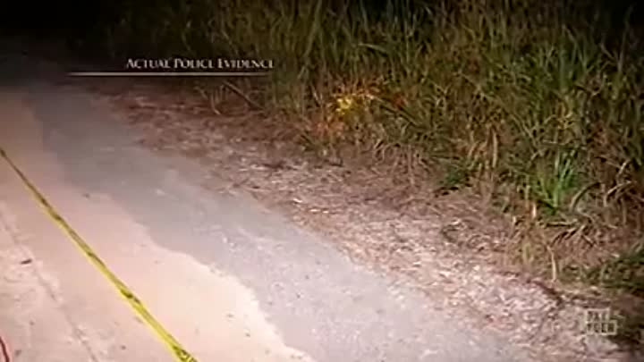 It takes a Killer -Louisiana