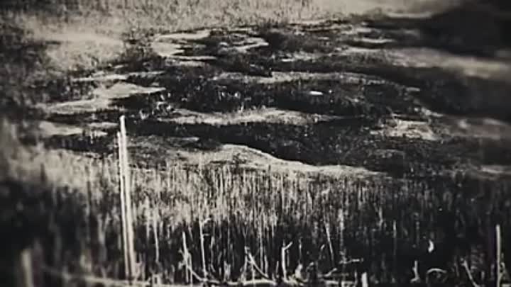 Deadly Intelligence -Tesla