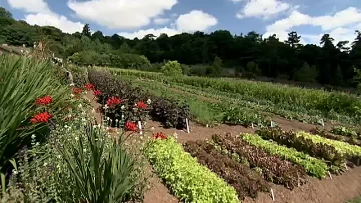 The Manor Reborn -1_4 -2011