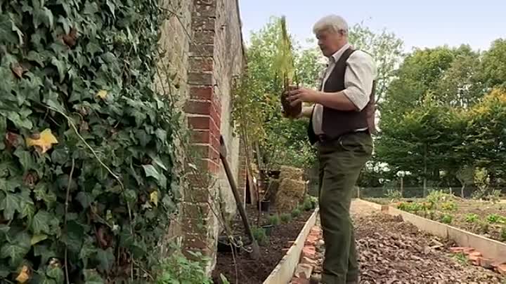 The Manor Reborn -3_4 -2011