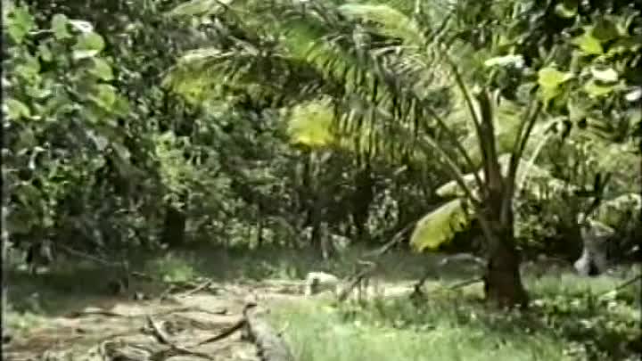 ⁣Age of Consent (1969)