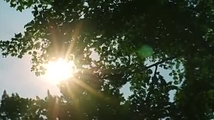 Forbidden -Lisa Fullerat