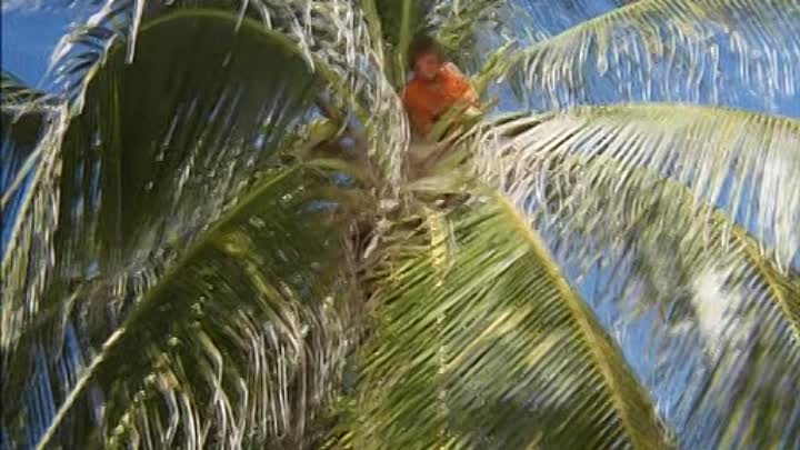 ⁣Pippi in the South Sea