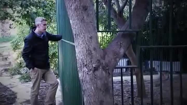 BBC Documentary - WikiLeaks- The Secret Life of a Superpower