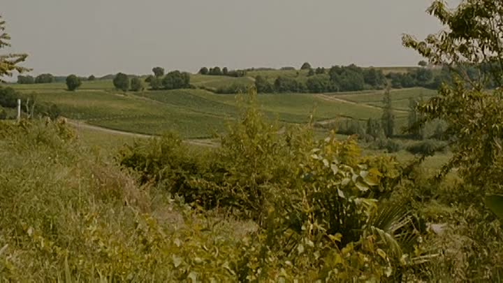 Quelque Chose A Te Dire FRENCH DVDRiP XViD-AYMO