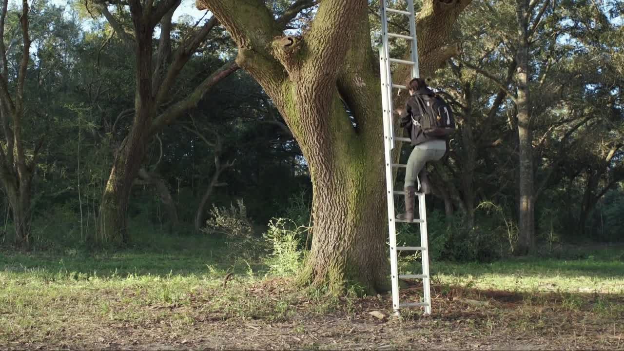 The Starving Games 2013 1080p BluRay x264 YIFY