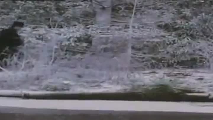 The Adventures Of Sherlock Holmes - S07E06 - The Cardboard Box.avi