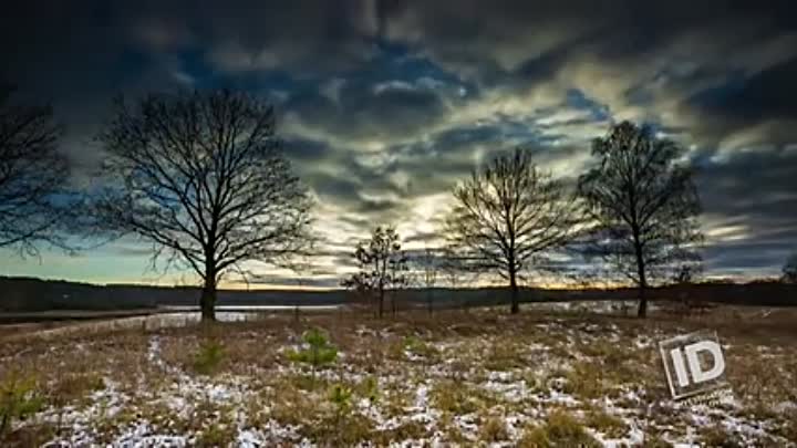 Vanity Fair -Was Bambi Framed