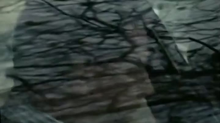 Prime Suspect -The Lost Child 1-4