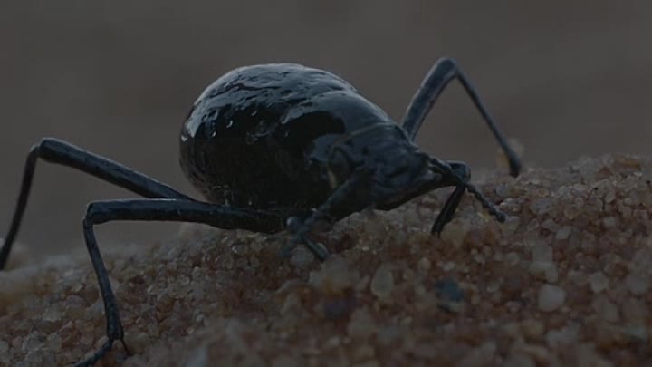 3 Way Junction 2020 HDRip XviD AC3-EVO