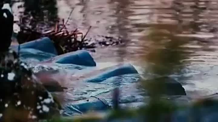 The haircut killer -Danilo Restivo