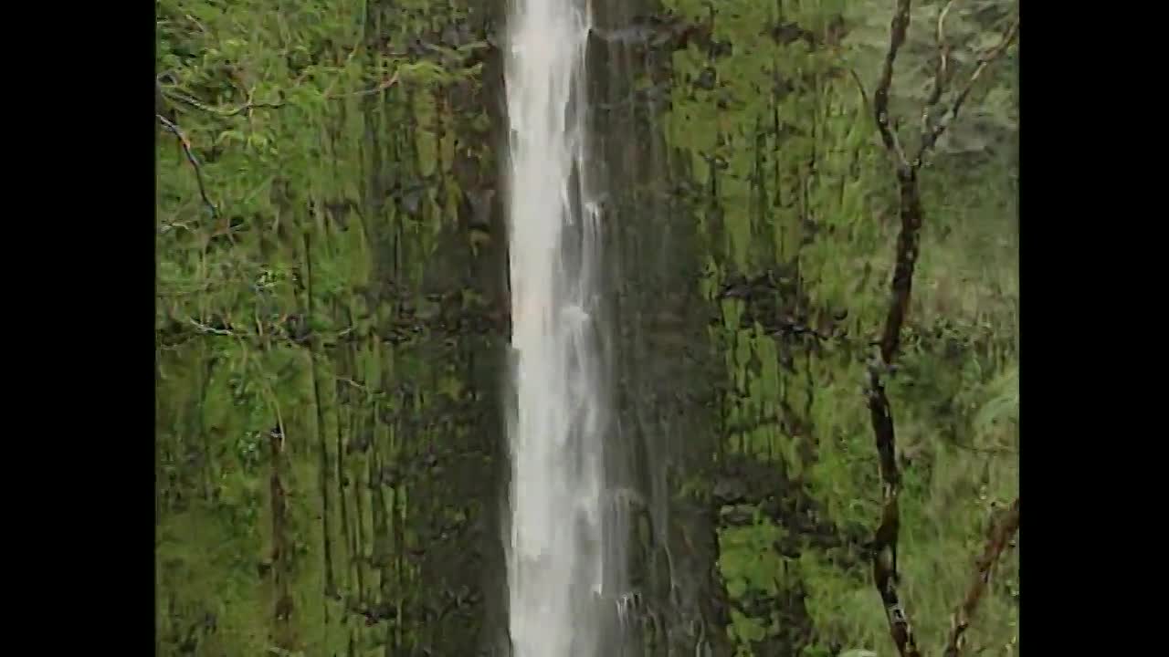 American Justice -Domestic Murder