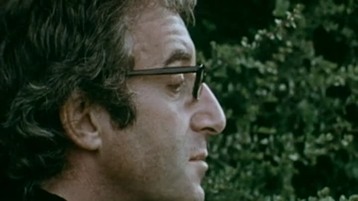 Peter Sellers -Tony Palmer