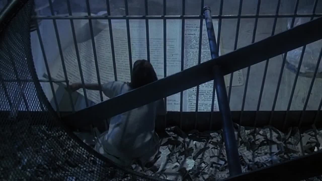 Incredible Shrinking Woman -1981