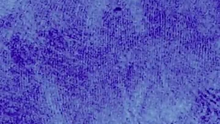 Forensic Files - Season 11, Episode 15 - Nice Threads