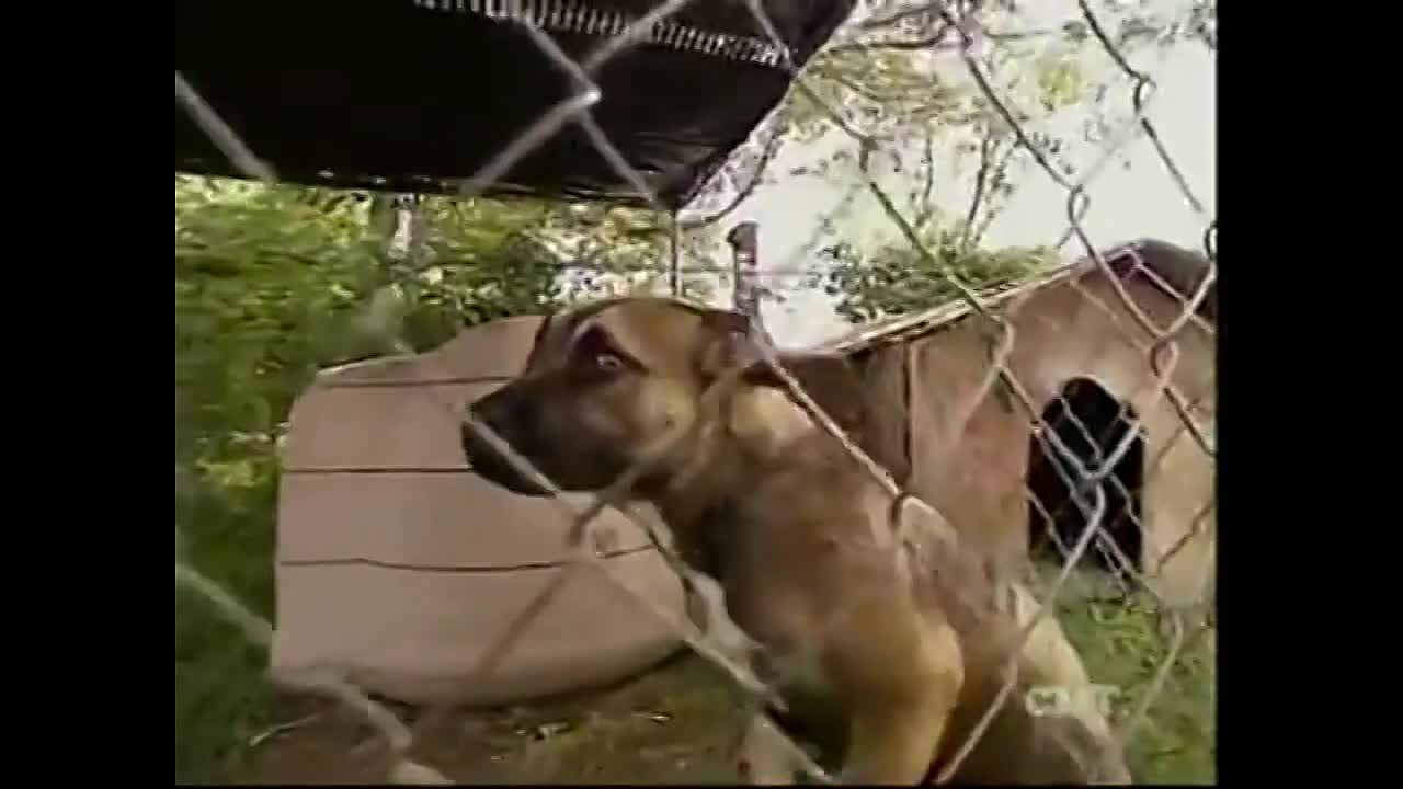 ⁣Trading Spouses -The First Trade S1E1