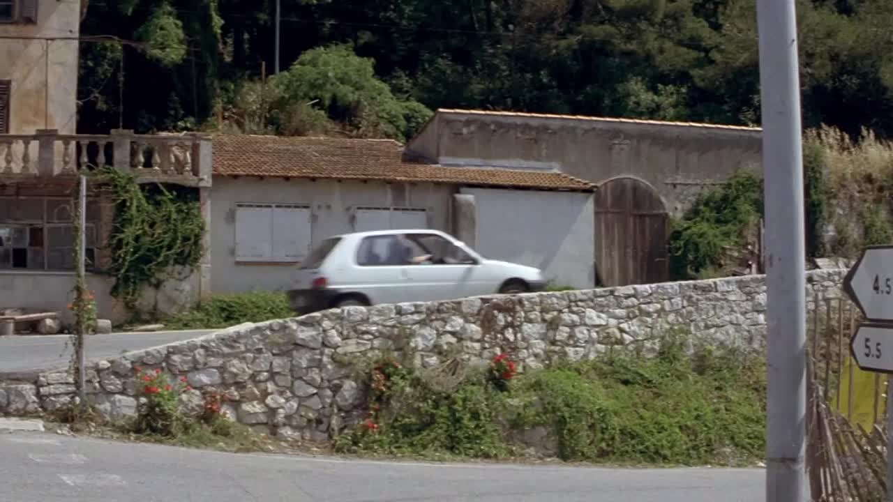 Son of the Pink Panther 1993